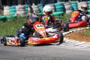 20110501_ales_agnus (3013)